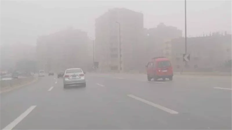 حالة الطقس غدا، فيتو