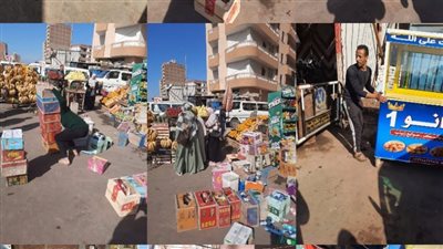 نقل 33 حمولة مخلفات إلى المدفن الصحي بالخطارة في الشرقية 