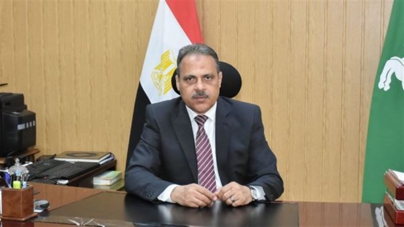 محافظ الشرقية