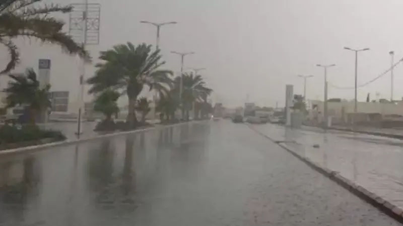 حالة الطقس غدا، فيتو