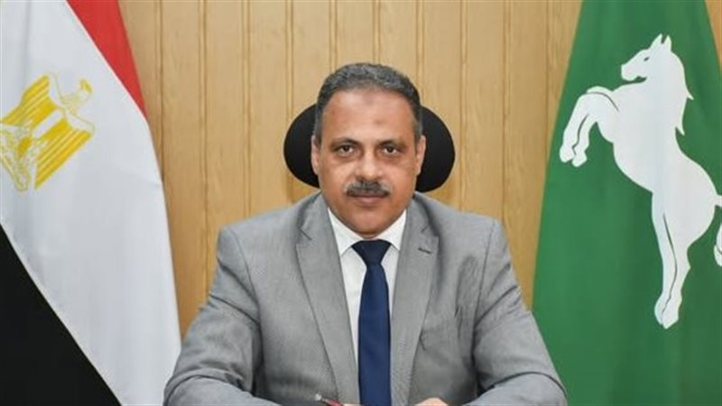 محافظ الشرقية