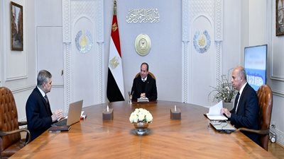 السيسي يوجه بمواصلة تحديث أسطول الصيد المصري وفقًا لأحدث الأنظمة والمعايير العالمية