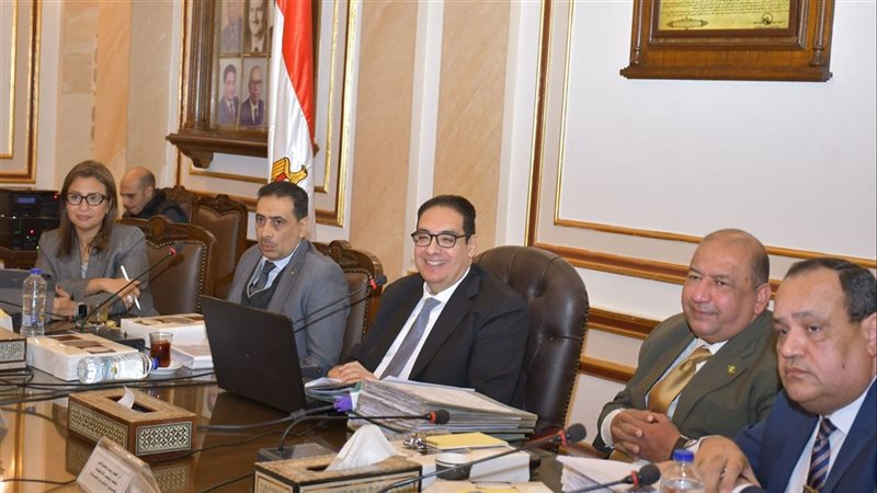 مجلس جامعة القاهرة