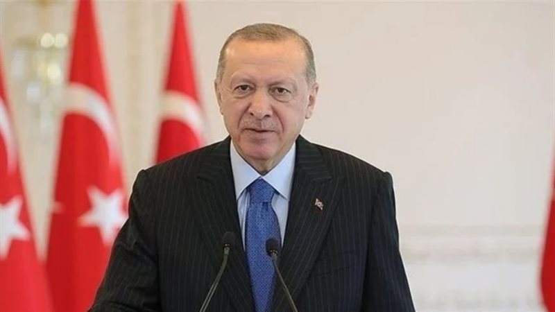 أردوغان، فيتو 