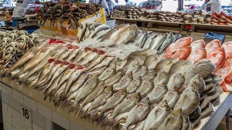 اسعار السمك اليوم،فيتو