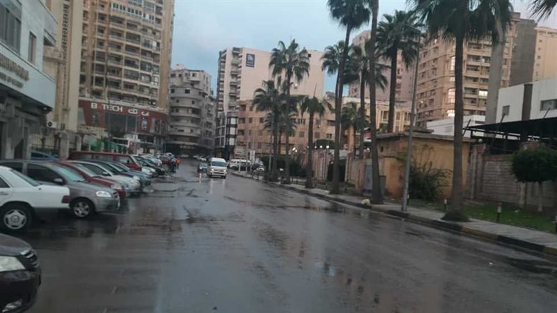 حالة الطقس، فيتو