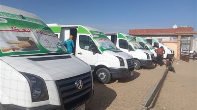 الكشف على 648 مواطنا خلال قافلة طبية بقرية الإمام مالك في وادي النطرون