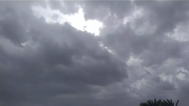حالة الطقس، فيتو