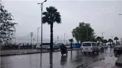 حالة الطقس غدًا الإثنين 30-12-2024 بمحافظة البحيرة 