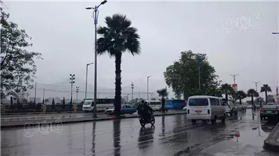 حالة الطقس بمحافظة البحيرة غدًا الثلاثاء 31-12-2024 