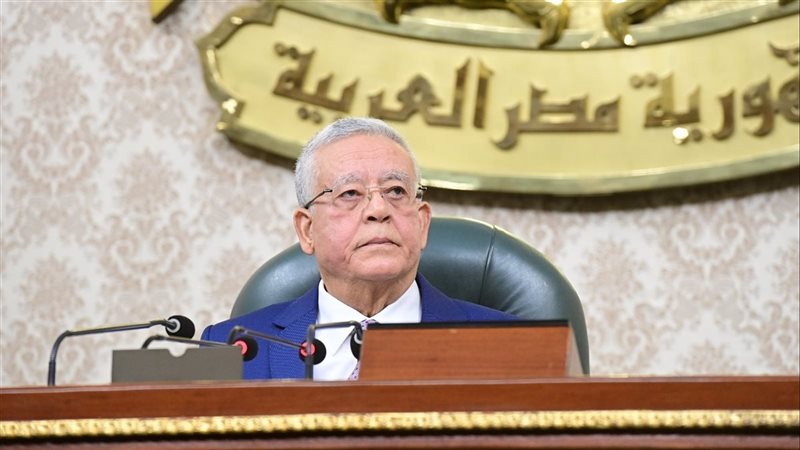 المستشارالدكتورحنفي