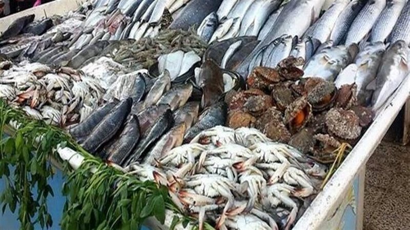 اسعار السمك اليوم،