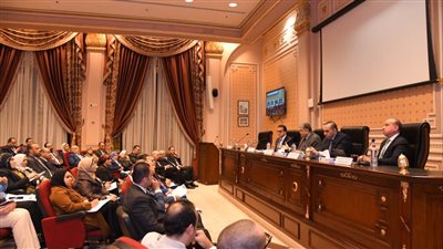 الحكومة: الطبيب المصري 