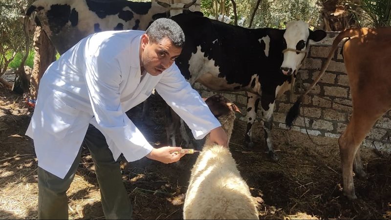 قافلة بيطرية بالفيوم،