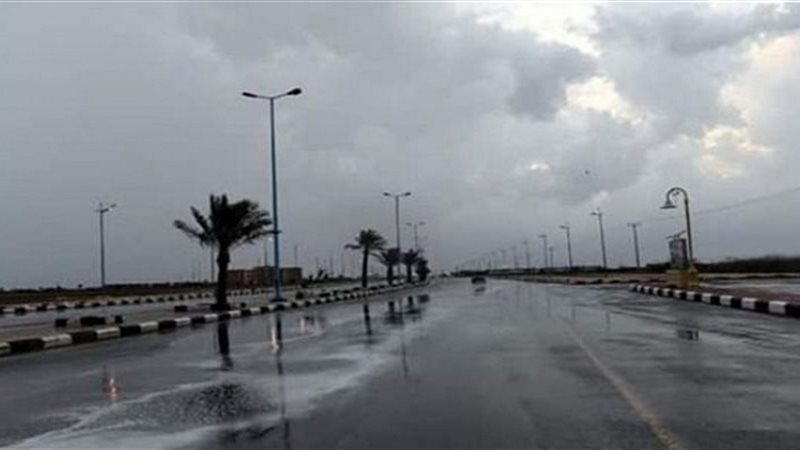 حالة الطقس غدا، فيتو