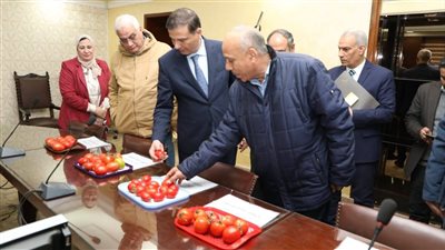 الزراعة تنجح في استنباط 8 أصناف جديدة من تقاوي الطماطم