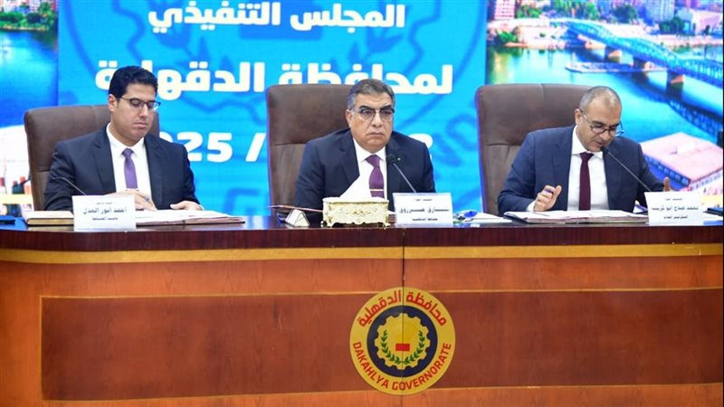 اجتماع تنفيذي بالدقهلية،