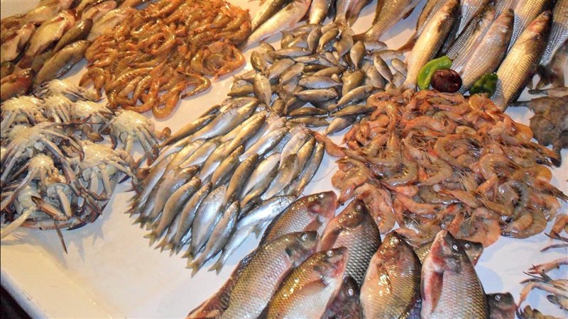 أسعار الأسماك اليوم،فيتو