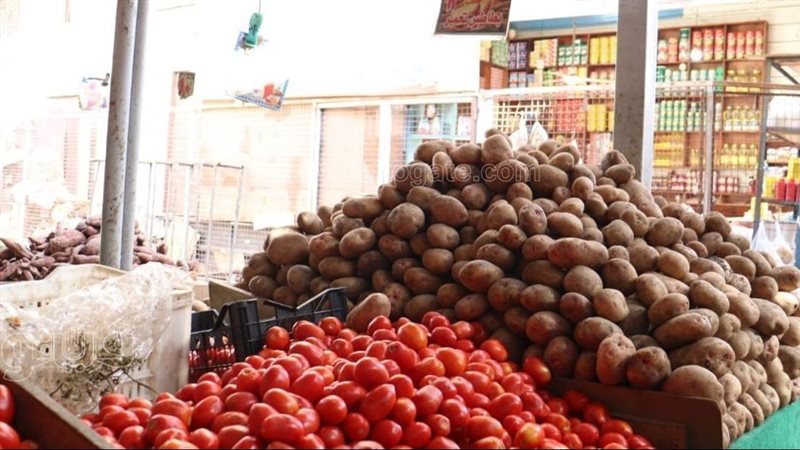 أسعار الخضراوات اليوم،فيتو