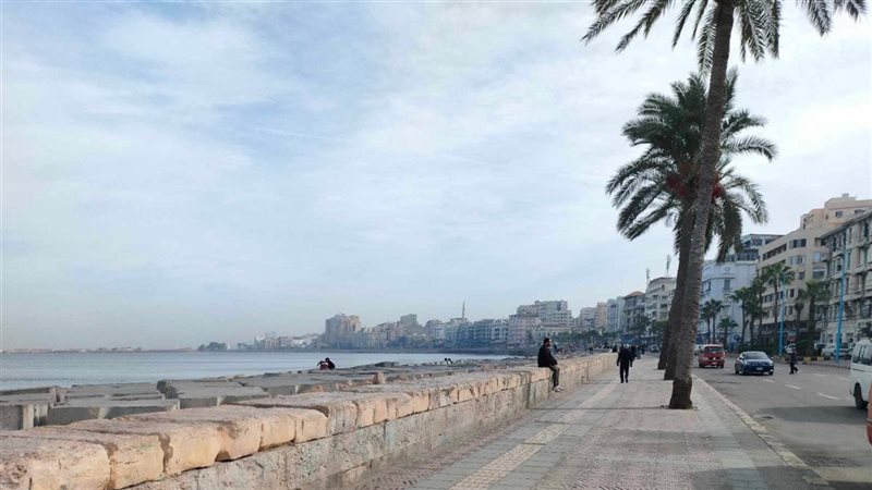حالة الطقس غدا، فيتو