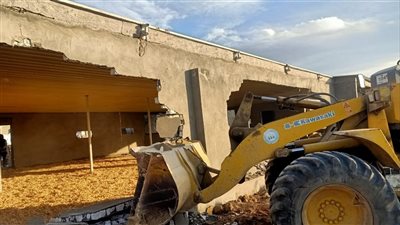 إزالة مزرعة دواجن مخالفة خلال حملة بالقنطرة غرب الإسماعيلية (صور) 