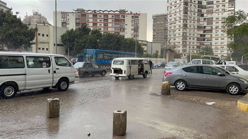 حالة الطقس غدا، فيتو