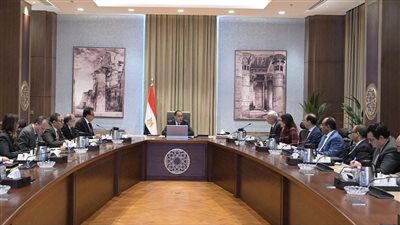 الوزراء: نعمل على توفير المواد الخام اللازمة للنهوض بصناعة الدواء وإتاحة مخزون آمن