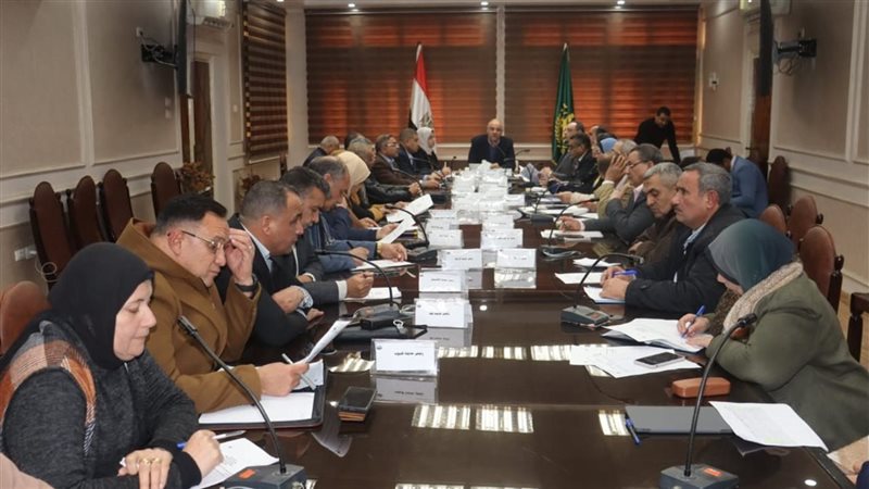 محافظ القليوبية يناقش
