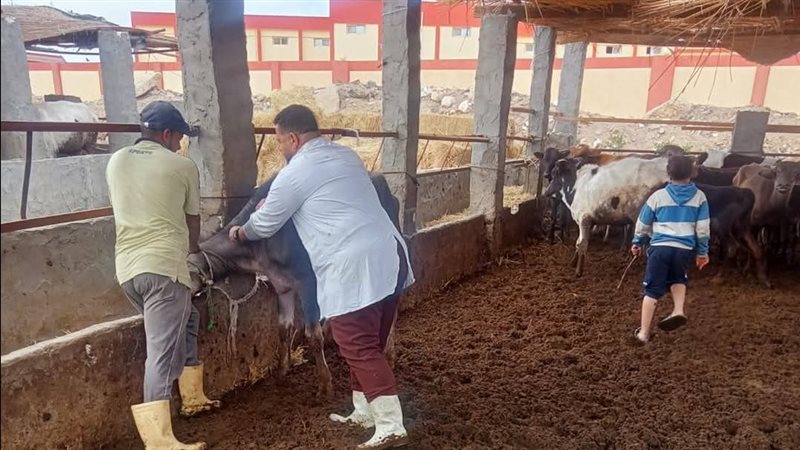 جانب من مجهودات المديرية،