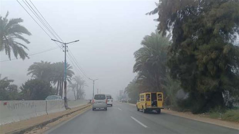 حالة الطقس، فيتو