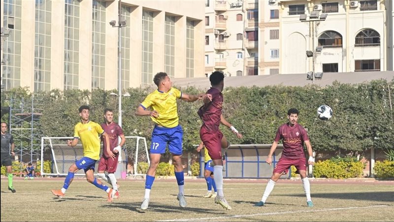 دوري المحترفين