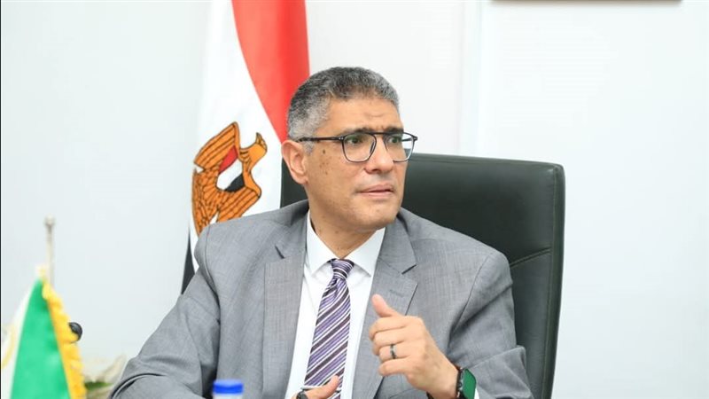 محافظ الجيزة 