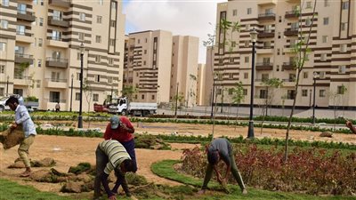 رسميا، الإسكان تعلن موعد نتيجة 