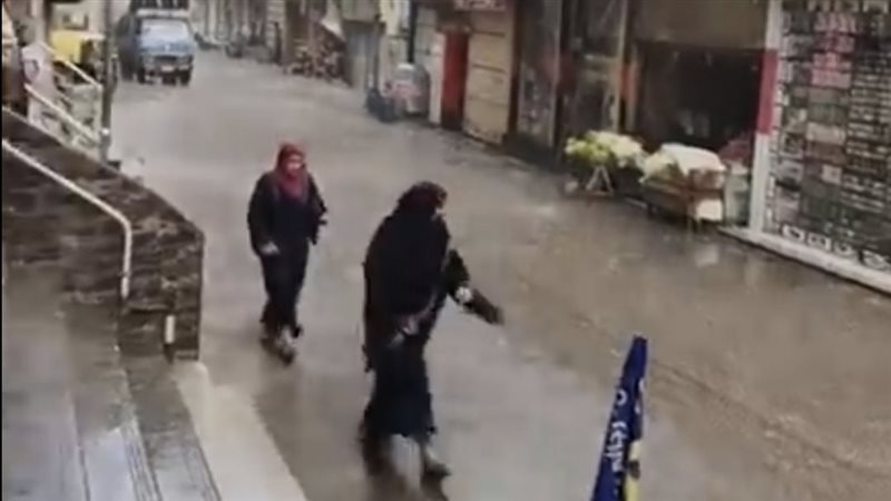 حالة الطقس غدا، فيتو