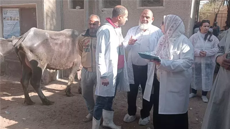  تحصين 242 ألف رأس
