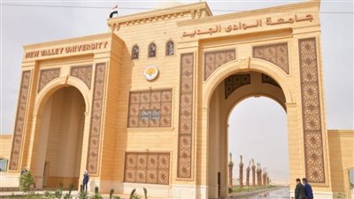 179 طالبًا تقدموا لانتخابات الاتحادات بجامعة الوادى الجديد