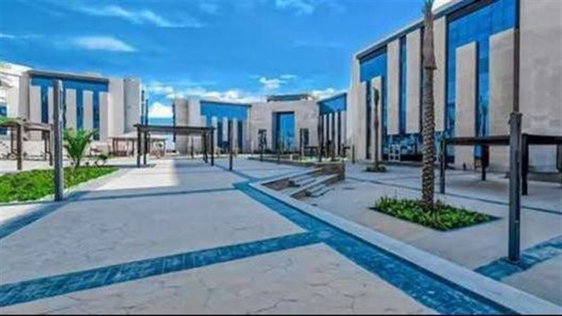 جامعة العلمين الدولية