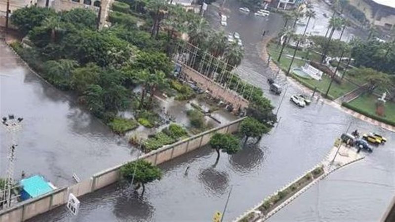 الاسكندريه 