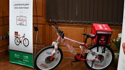 الشباب والرياضة توفر 30 ألف فرصة عمل من خلال مشروع 