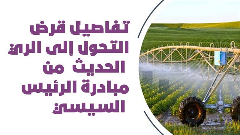فيتو