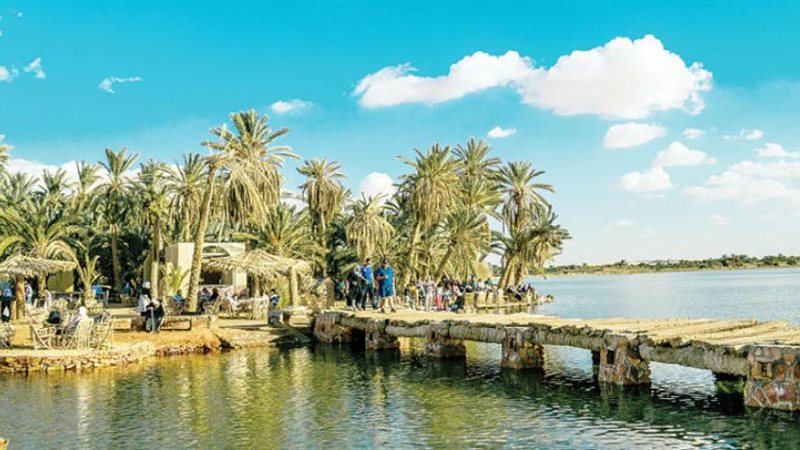 واحة سيوة