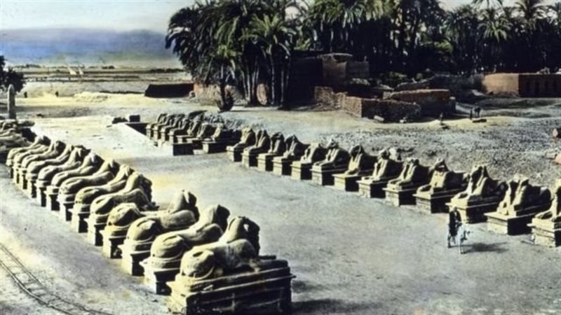 طريق الكباش