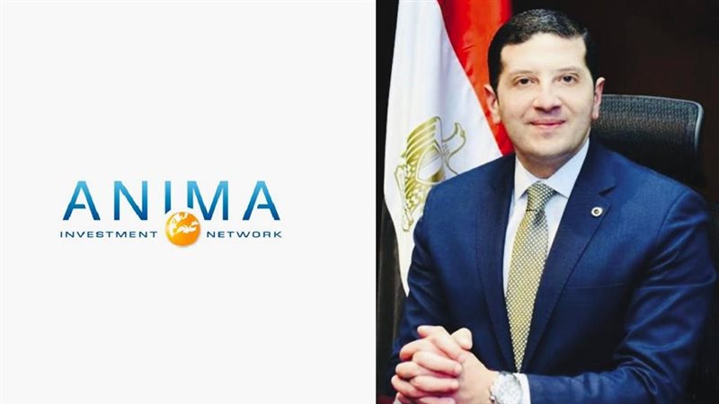 المستشار محمد عبد