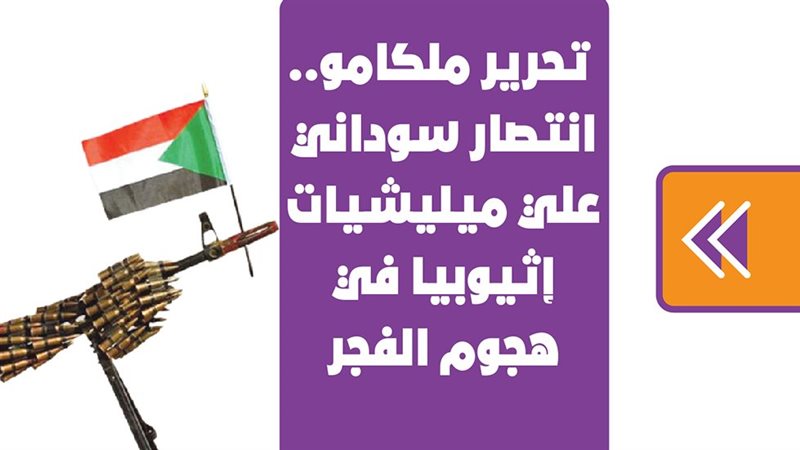 الجيش السوداني