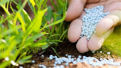 خبير: حل أزمة الأسمدة يتطلب تحرير المدخل ودعم المخرج.. والقرارات الأخيرة مسكنات