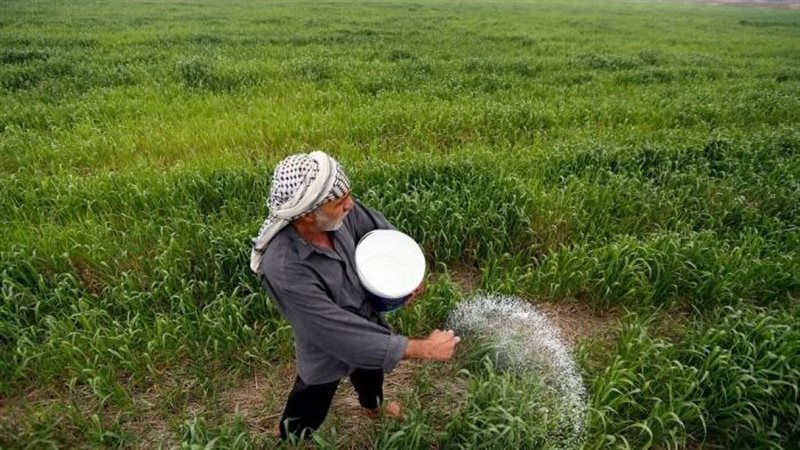 الفلاح المصري 