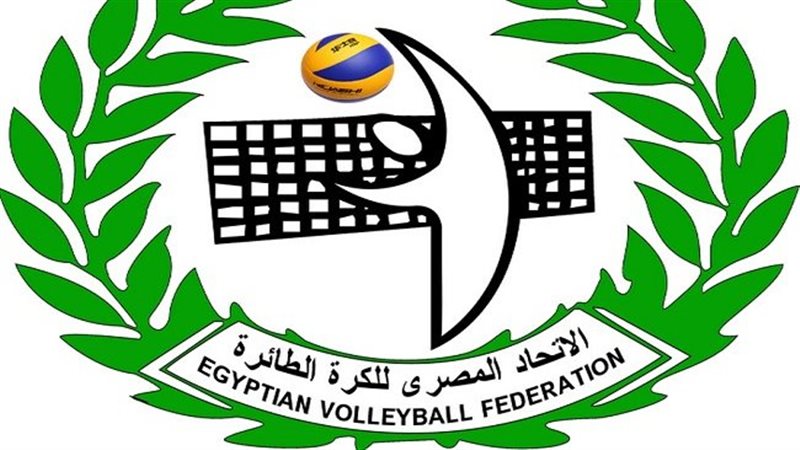 الكرة الطائرة
