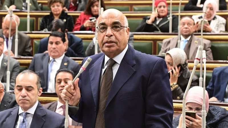 وزير العدل أمام جلسة