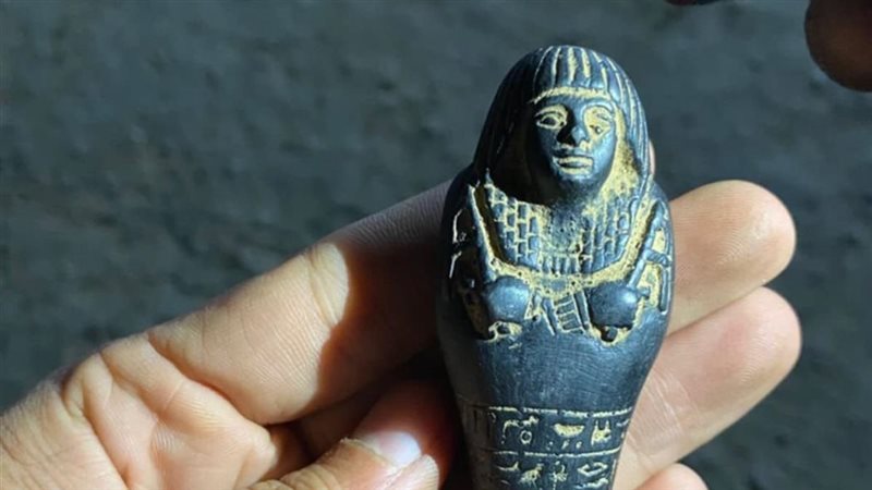 قطعة من المضبوطات،