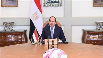 السيسي يؤكد أهمية معالجة نقص الكفاءات الأكاديمية ومنع تسربها للخارج
